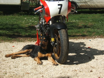 2011 April 04 Rutter Harris Kraft Ducati lube-free 003.jpg