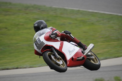Ducati TT1 loudbike.JPG