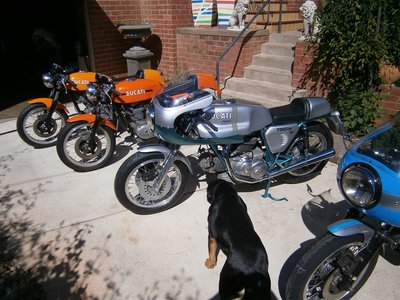 4bikes.jpg