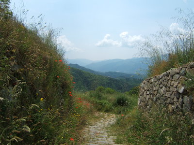 Toscane 2005 014.jpg