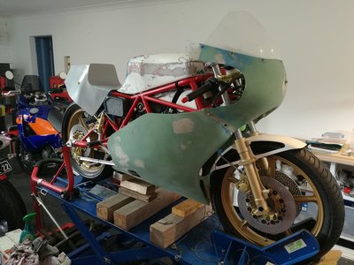 1981 Ducati TT2 2C.jpg