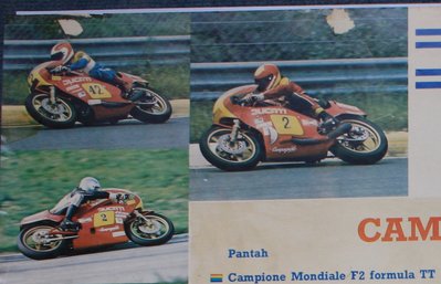 Ducati 1981 detail.jpg
